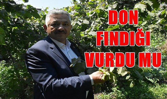 Don fındığı etkiledi mi? Yeni açıklama var