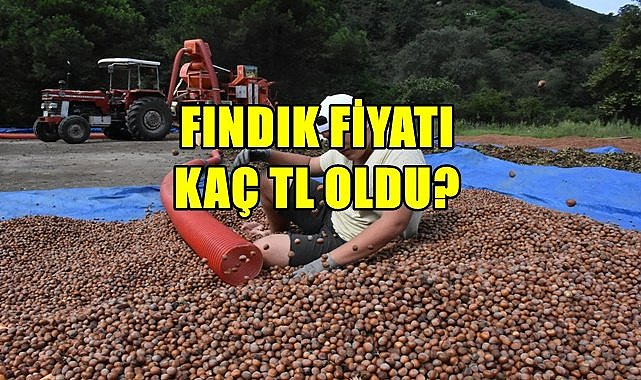 Fındık fiyatı 02.04.2023