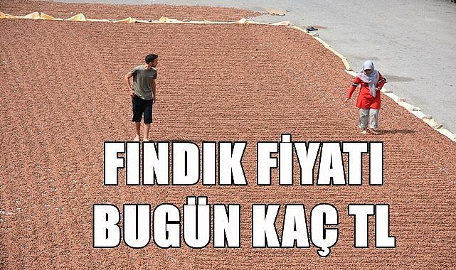 Fındık fiyatı 03.04.2023