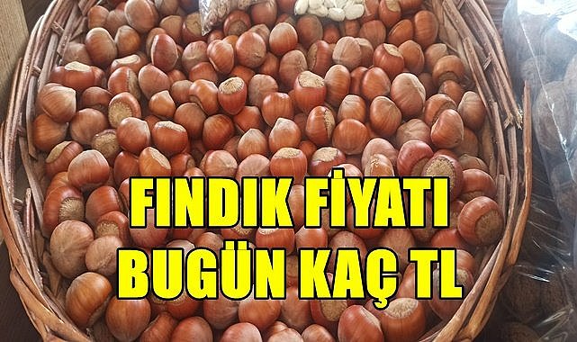 Fındık fiyatı 10.04.2023