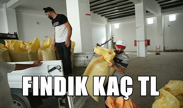 Fındık fiyatı 11.04.2023