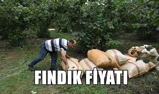 Fındık fiyatı 12.04.2023