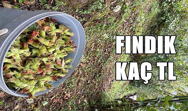 Fındık fiyatı 14.04.2023