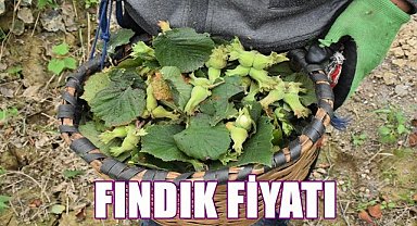 Fındık fiyatı 17.04.2023