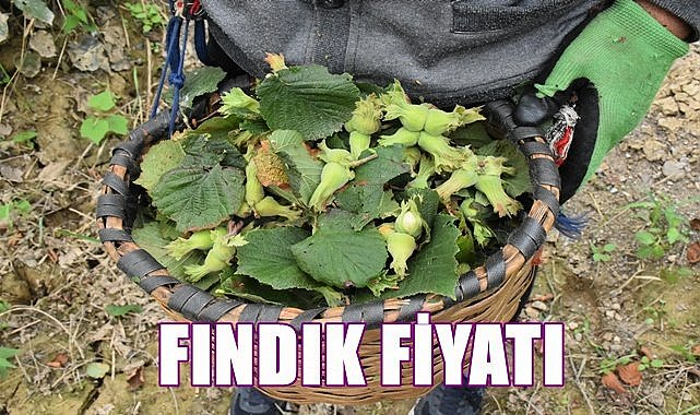 Fındık fiyatı 17.04.2023