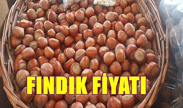 Fındık fiyatı 18.04.2023