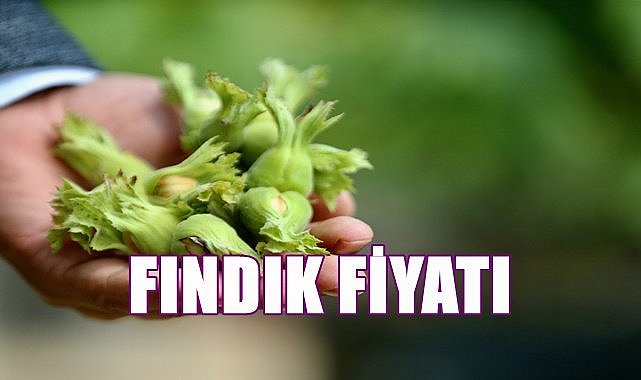 Fındık fiyatı 19.04.2023