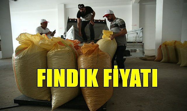 Fındık fiyatı 27.04.2023