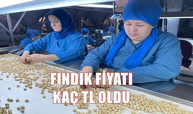 Fındık fiyatı 5.04.2023