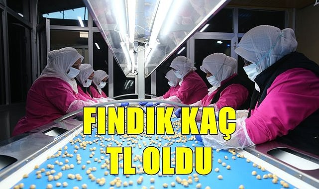 Fındık fiyatı 6.04.2023