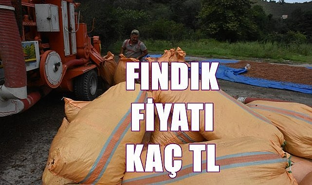 Fındık fiyatı 7.04.2023
