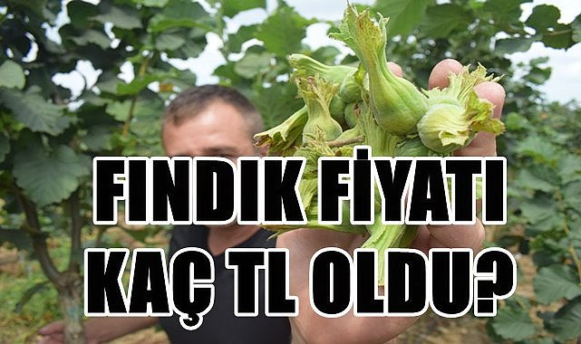 Fındık fiyatı 9.04.2023