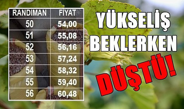 Fındık fiyatı yükselecek derken düştü!