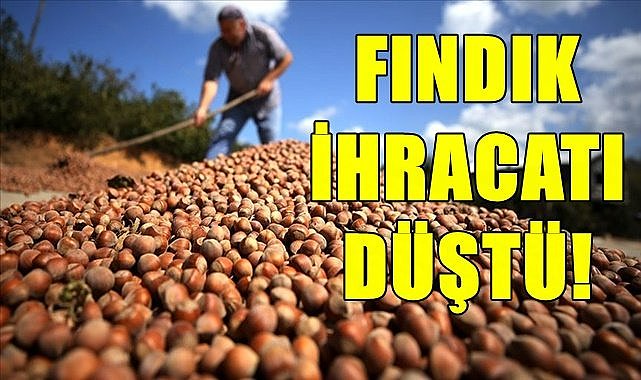 Fındık ihracatı ve elde edilen döviz düştü