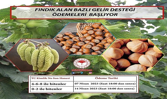 Fındık üreticisine 274 milyon TL destek ödenecek