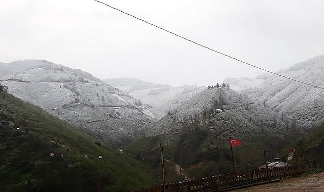 Fındık üreticisini korku bastı