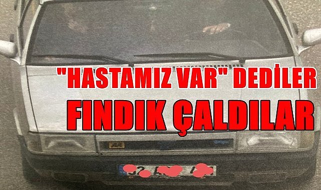 "Hastamız var" dediler fındık çaldılar