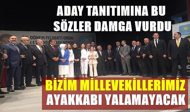 İYİ Parti Ordu İl Başkanı,  Milletvekili Yediyıldız'a laf attı
