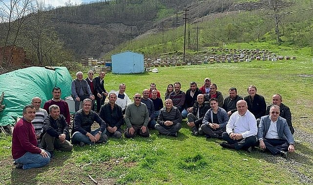 Ordu&#039;da arıcılara ilaç desteği