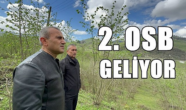 Ordu'da OSB için 460 dönüm arazi kamulaştırıldı
