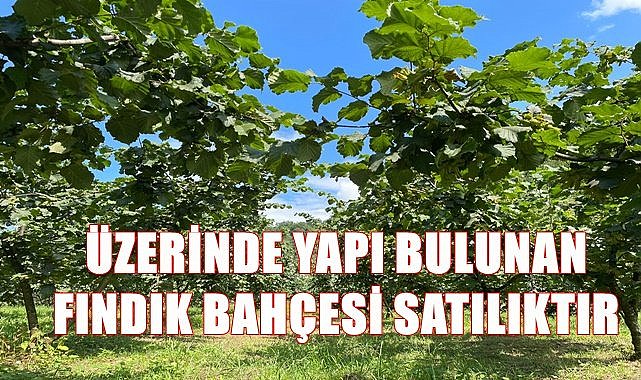 Ordu Perşembe'de üzerinde yapı bulunan fındık bahçesi satılık