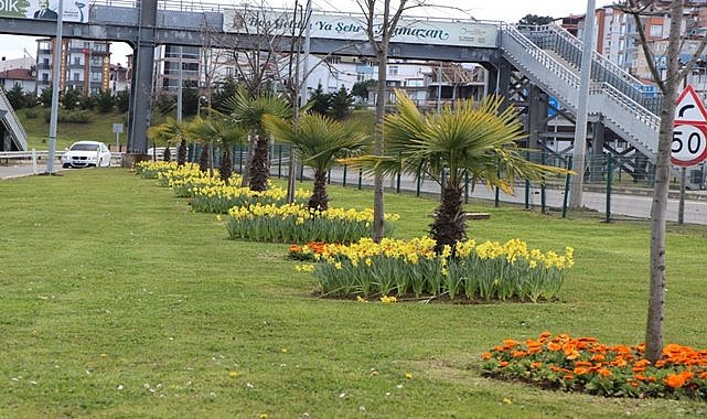 Ordu rengarenk çiçeklerle doldu