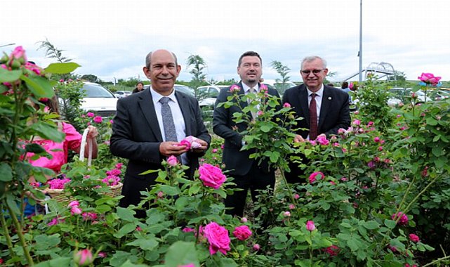 &#039;Edirne Gülü&#039;ne şenlikli hasat