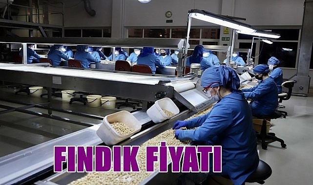 Fındık fiyatı 01.05.2023