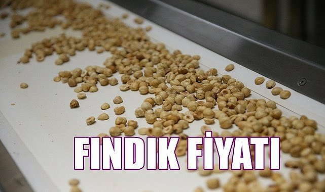 Fındık fiyatı 04.05.2023