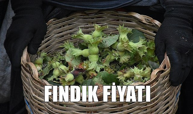 Fındık fiyatı 13.05.2023
