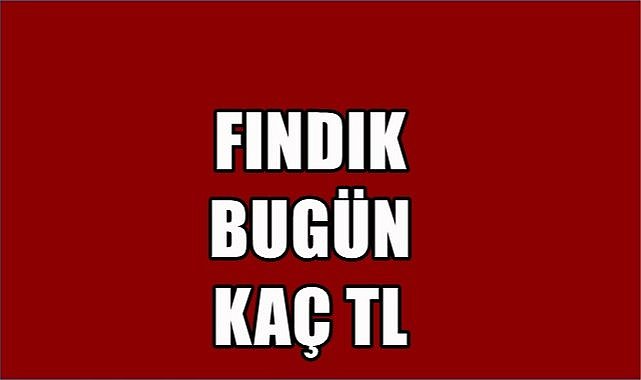 Fındık fiyatı 25.05.2023