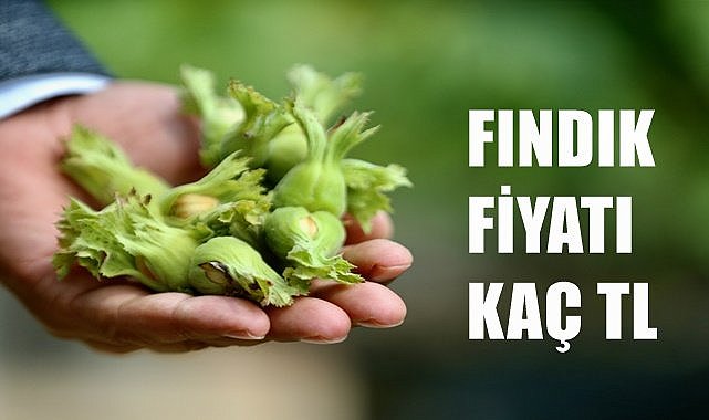 Fındık fiyatı 29.05.2023