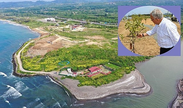 Ordu'da çöp alanı meyve bahçesi oldu