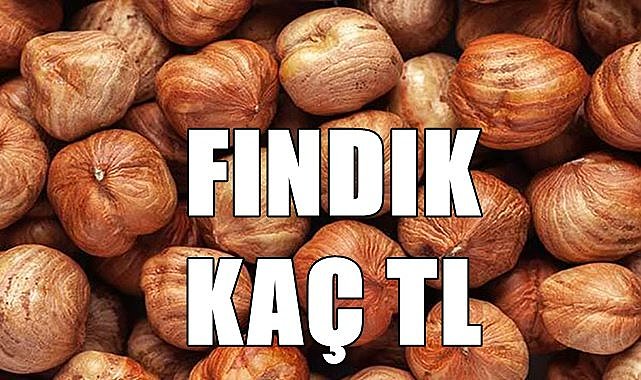 55 randıman fındık net 62.304 TL