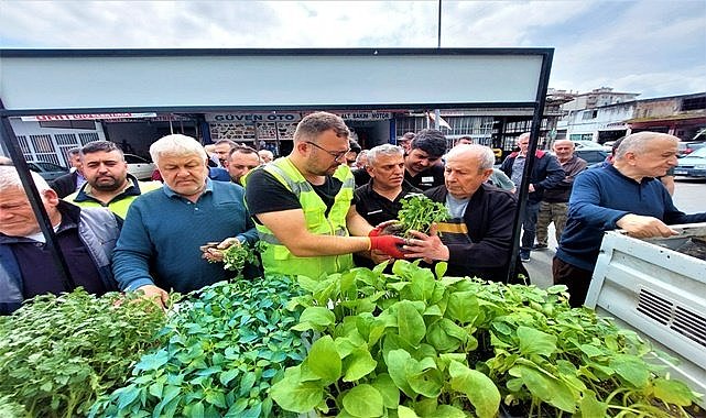 Altınordu 452 bin fide dağıttı