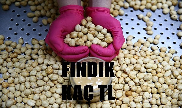 Bayramda fındık fiyatı kaç TL oldu?