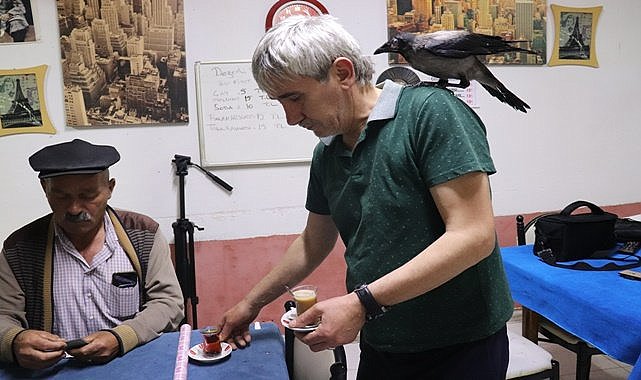 Bu karga başka karga