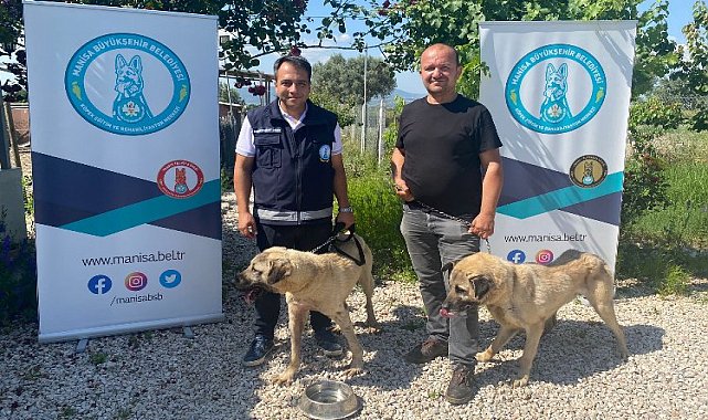 Eğitimli köpekler çiftçiye can yoldaşı olacak