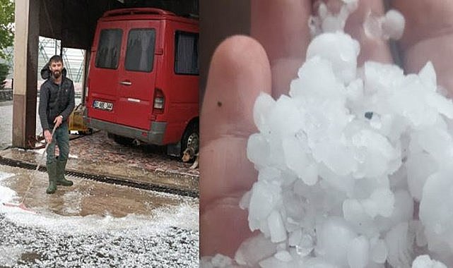 Fındığı dolu vurdu