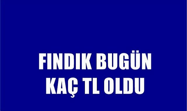 Fındık fiyatı 01.06.2023