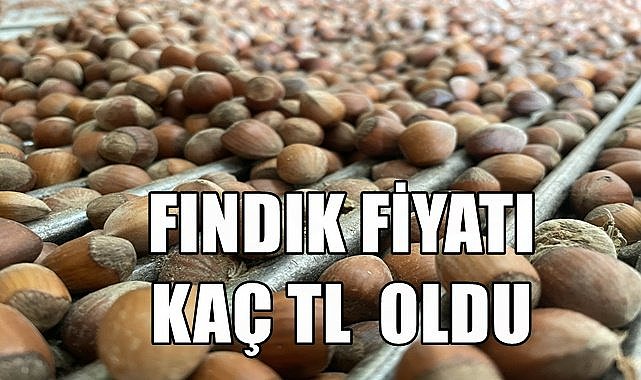 Fındık fiyatı 02.06.2023