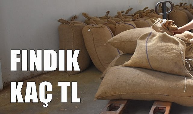 Fındık fiyatı 03.06.2023