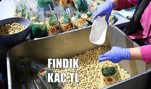 Fındık fiyatı 04.06.2023