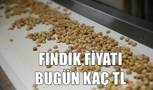 Fındık fiyatı 07.06.2023