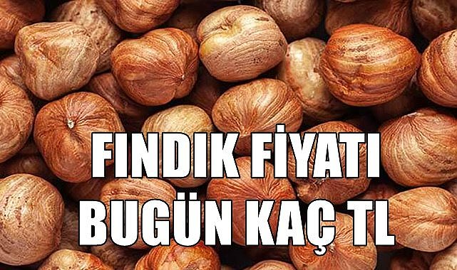 Fındık fiyatı 11.06.2023