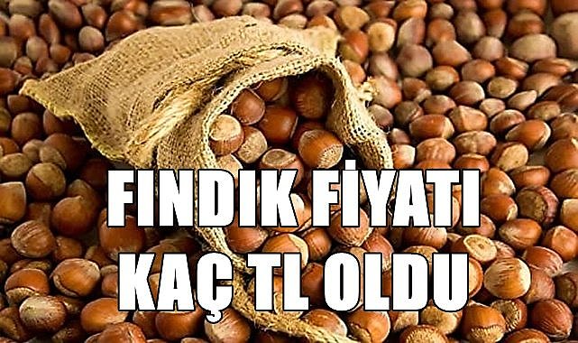 Fındık fiyatı 14.06.2023