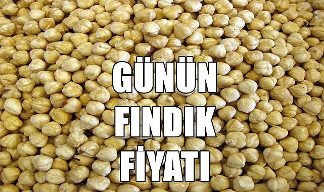 Fındık fiyatı 16.06.2023