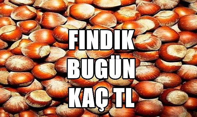 Fındık fiyatı 18.06.2023