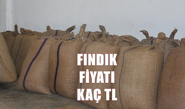 Fındık fiyatı 19.06.2023