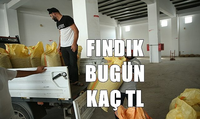 Fındık fiyatı 21.06.2023